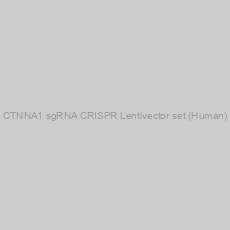 Image of CTNNA1 sgRNA CRISPR Lentivector set (Human)